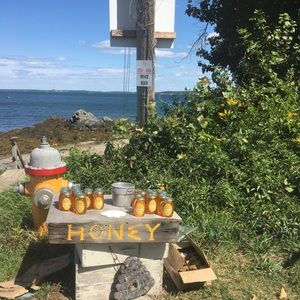 Meet your Posher, Molly